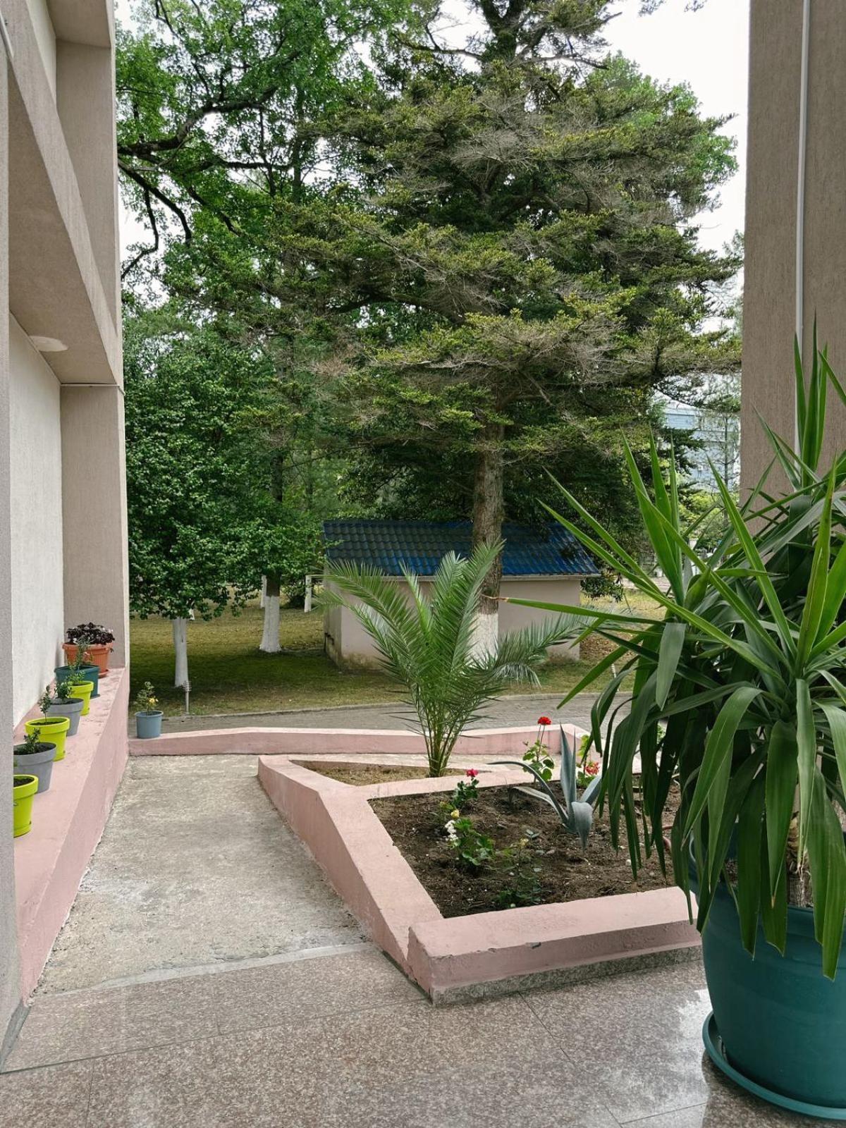 Hotel Solidarity Kobuleti Exterior foto